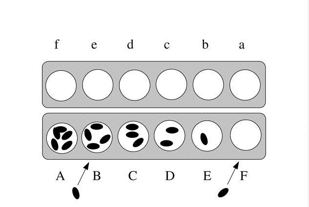 groupe de marche augmente